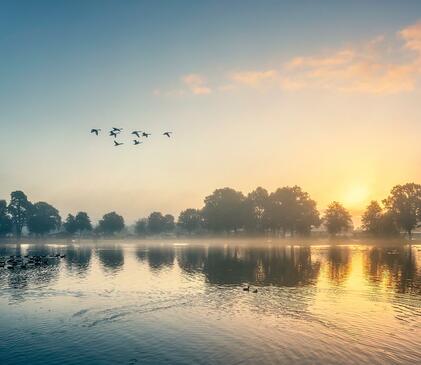 Misty Autumn sunrise over Pearl Lake