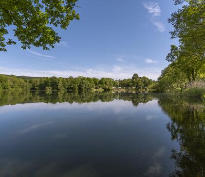 5 star holiday park with fishing lake photo