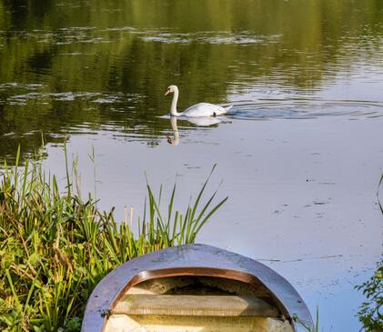 Pearl Lake morning photo