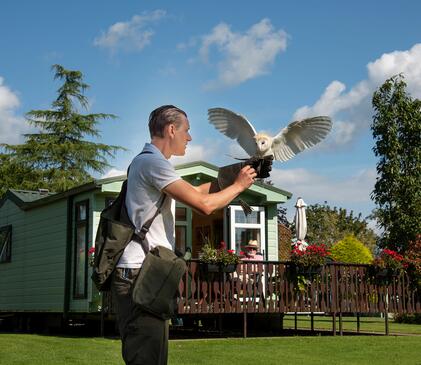 Static caravans for sale on site 5 star park photo