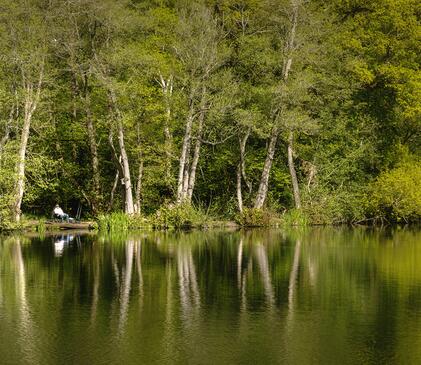 Peaceful fishing at Pearl Lake. Woodland Peg