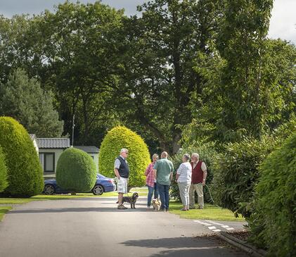 Dog friendly holiday park at Pearl Lake, Herefordshire