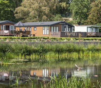 Luxury lodges overlooking the lake at Pearl Lake, Herefordshire