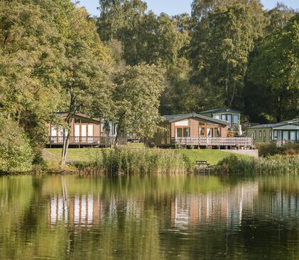 Holiday homes at Pearl Lake country holiday park