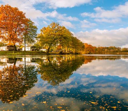 5 star holiday park with private fishing lake in Herefordshire