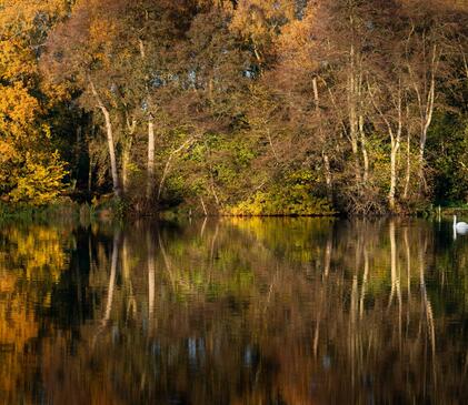 Spectacular autumn colours at Pearl Lake