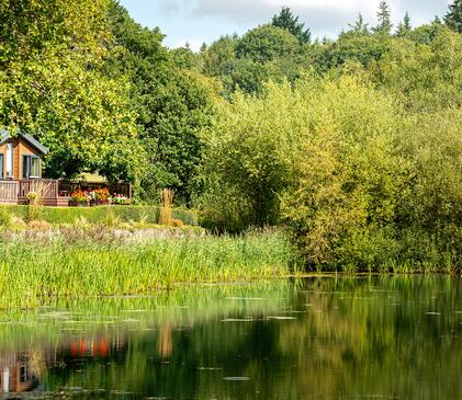 5 star caravan holiday park with carp fishing lake, Herefordshire