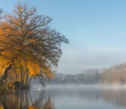 Spectacular winter colours reflected at Pearl Lake