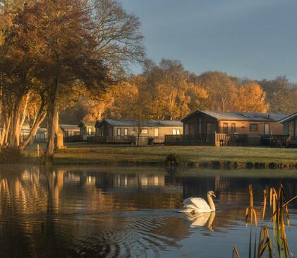 Winter colours at Pearl Lake