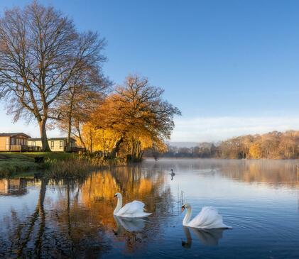 Spectacular winter colours reflected at Pearl Lake