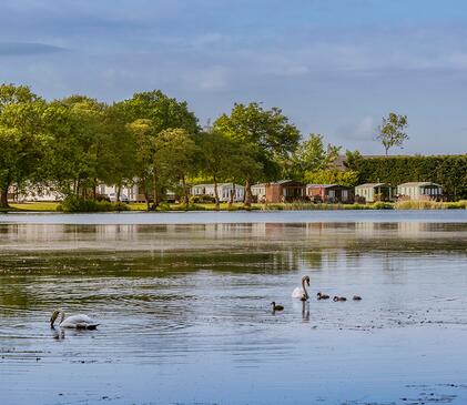 5 star caravan holiday park with fishing lake - Pearl Lake Herefordshire.