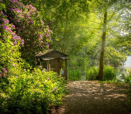 Nature hide in woodland at Pearl Lake Country Holiday Park