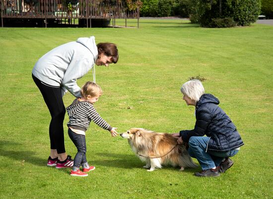 dog friendly caravan aprk