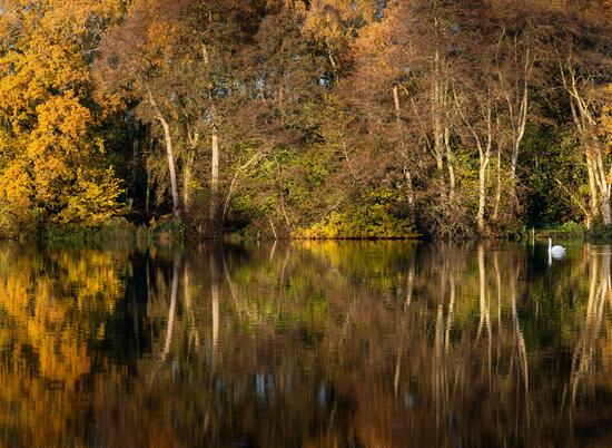 Spectacular autumn colours at Pearl Lake