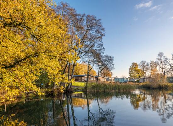 Tranquil bay at Pearl Lake