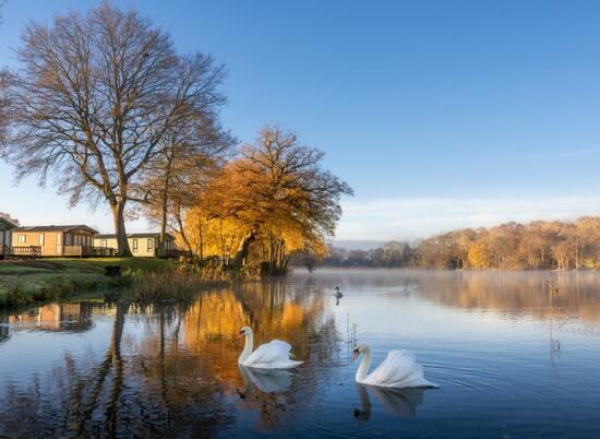 Spectacular winter colours reflected at Pearl Lake