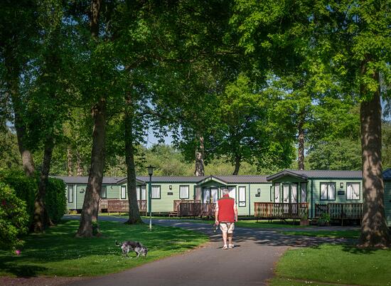 Dog friendly caravan park at Pearl Lake, Herefordshire