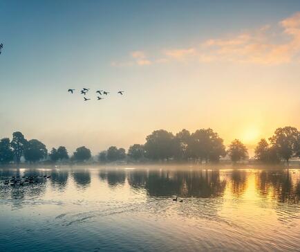 Misty Autumn sunrise over Pearl Lake