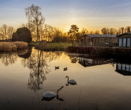 Lake sunrise photo over holiday lodges caravans