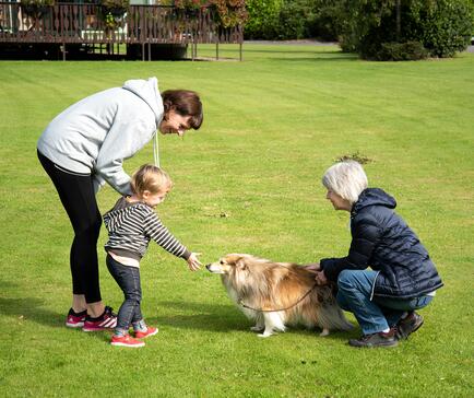 dog friendly caravan aprk