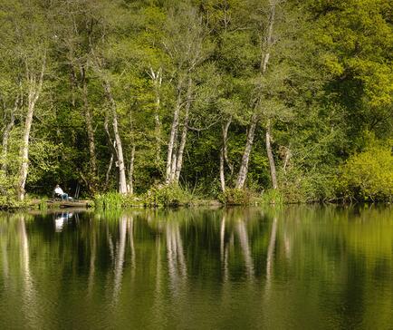 Peaceful fishing at Pearl Lake. Woodland Peg