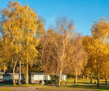 Autumn morning at Pearl Lake