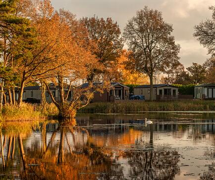 Golden hour at Pearl Lake