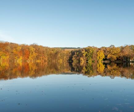 Spectacular autumn colours at Pearl Lake