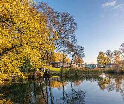 Tranquil bay at Pearl Lake