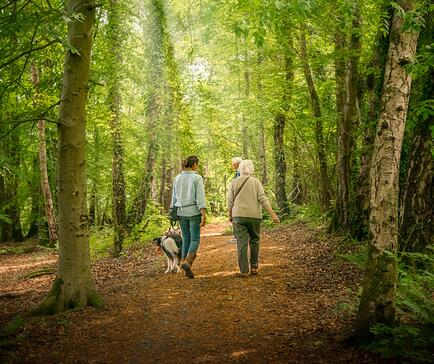 Woodland walks at Pearl Lake Country Holiday Park, Herefordshire