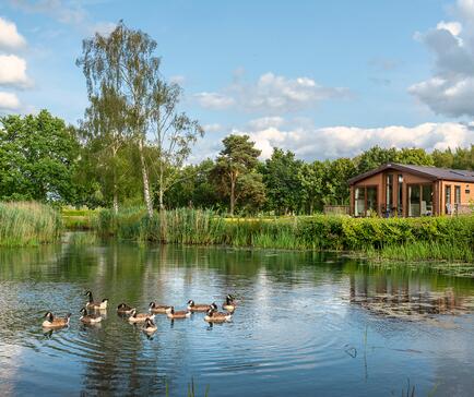 Herefordshire lake edge holiday homes for sale