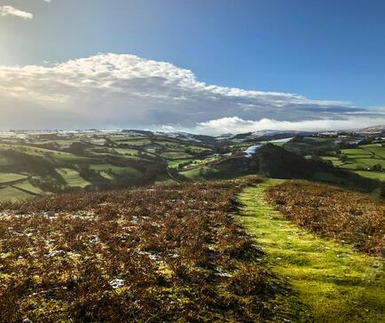 Walking on Hergest Ridge, Kington