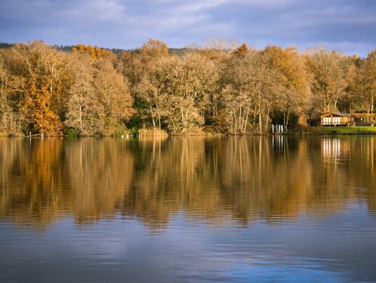 Autumn across Pearl Lake photo