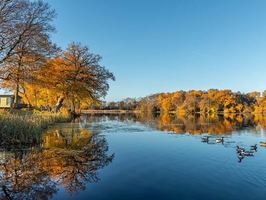 Autumn morning at Pearl Lake