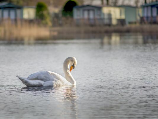 Pearl Lake country holiday park