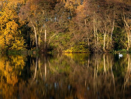 Spectacular autumn colours at Pearl Lake