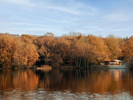 Winter morning at Pearl Lake Country Holiday Park, Herefordshire.