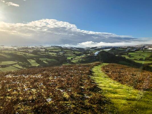 Walking on Hergest Ridge, Kington