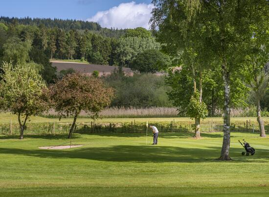 Caravan park with golf course at Pearl Lake photo