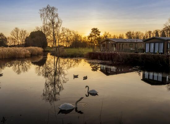 Lake sunrise photo over holiday lodges caravans