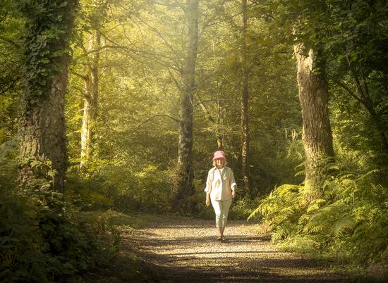 woodland walking photo