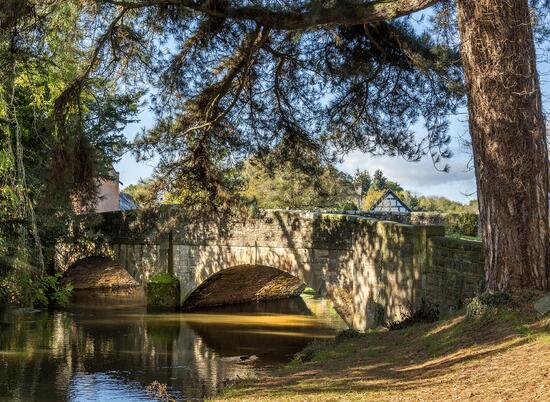 Autumn colours on the River Arrow, Herefordshire