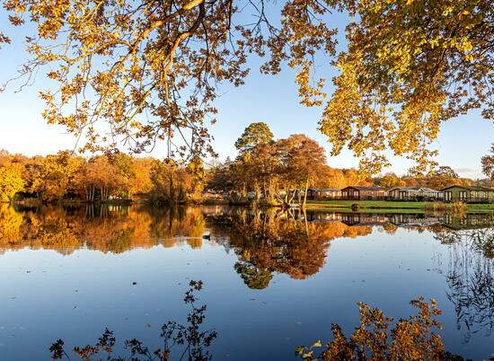 Spectacular autumn colours at Pearl Lake