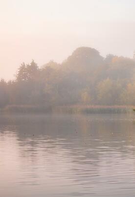 Misty Autumn sunrise over Pearl Lake