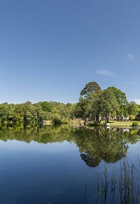 5 star caravan site with fishing lake photo