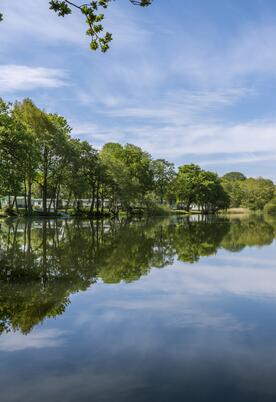 Fishing lake 5 star static caravan park photo