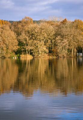 Autumn across Pearl Lake photo