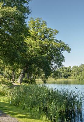 Dog friendly caravan park at Pearl Lake, Herefordshire