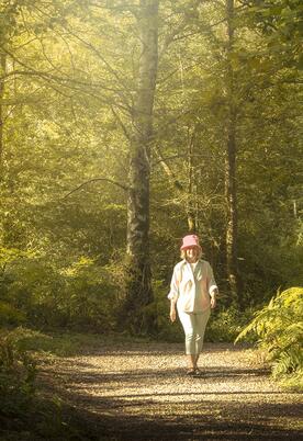 woodland walking photo