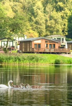 Caravan park with lake edge lodges and fishing lake